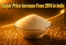 Sugar Price Increase From 2014 in India: 2014 से कितनी महंगी हुई चीनी? जानिए पूरा सफर! Sugar Price Increase From 2014 in India